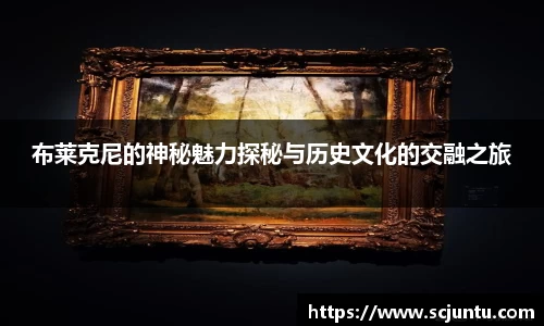 布莱克尼的神秘魅力探秘与历史文化的交融之旅